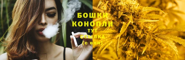 спиды Богородск