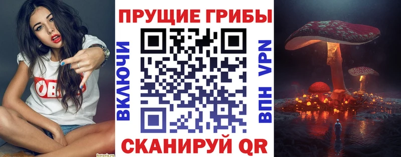 Галлюциногенные грибы мицелий  MEGA как зайти  Пенза  площадка формула  купить  цена 